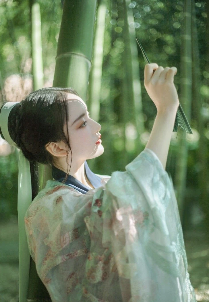 AisinGioro Yi 2100 LänderRP Wiki Fandom