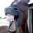 FunnyHorse523's avatar