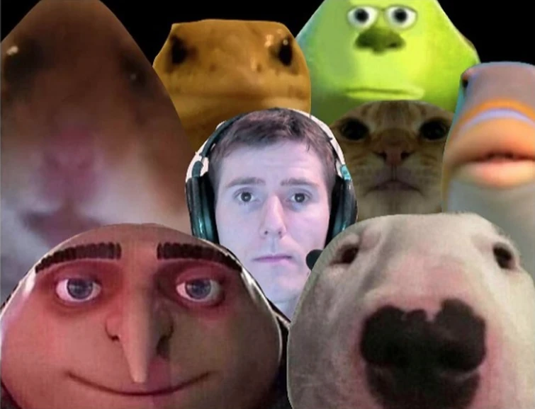 Что написать в пов в тик токе. Качки на стрелке мем. Почему пов. Название повязок. Почему пов.