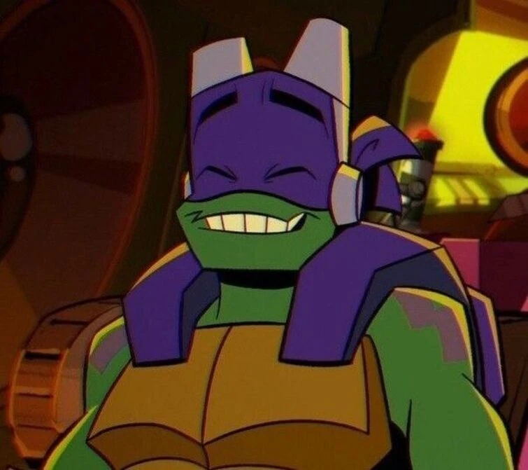 Turtle appreciation post | Fandom