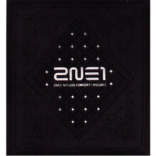2NE1 1st Live Concert (Nolza!) | 2NE1 Wiki | Fandom