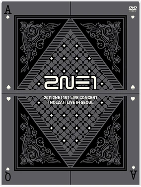 2NE1/1ST LIVE CONCERT'NOLZA!'LIVE IN SE… 2NE1 1st Live Concert (Nolza!) | 2NE1 Wiki | Fandom