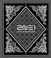2NE1 1st Live Concert (Nolza!) | 2NE1 Wiki | Fandom