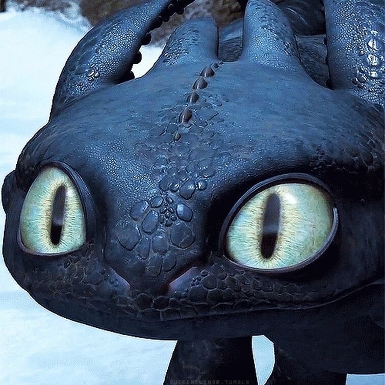 Toothless meme. Ночная фурия Беззубик. Ночная фурия дракон. Как приручить дракона Беззубик. Приручить дракона 2 Беззубик.