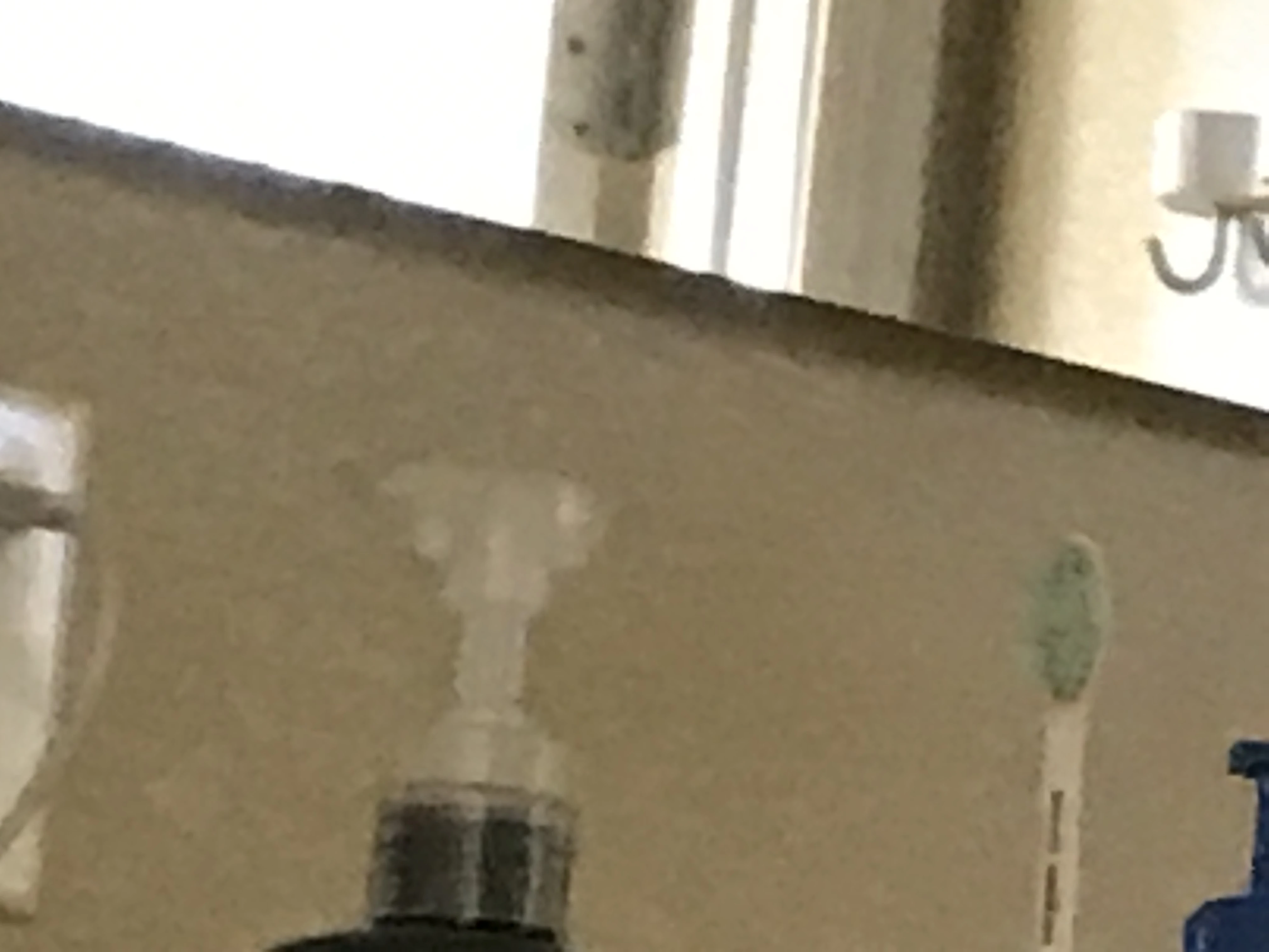 zoomed in toothbrush reveal Fandom