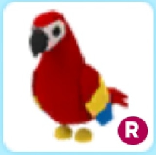 Legendary Adopt Me Pets Parrot