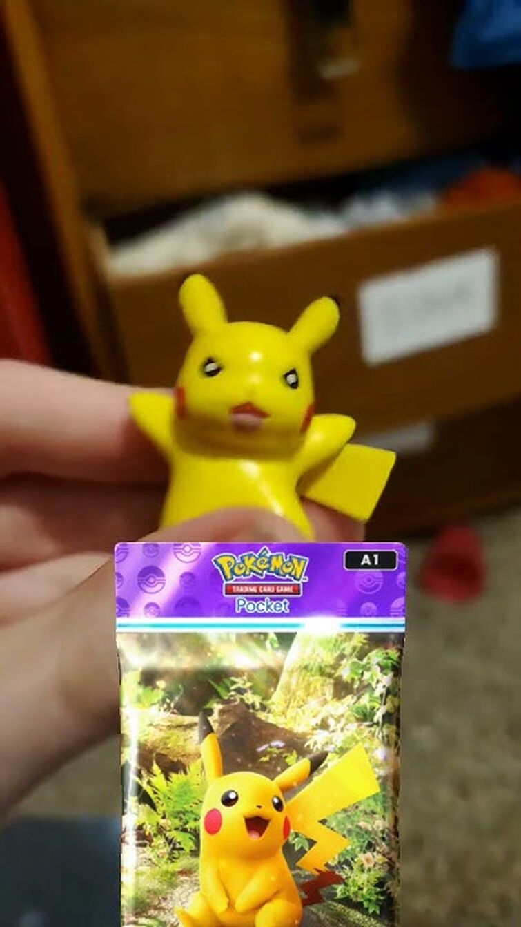 PIKACHU!!! GOTTA CATCH HIM NOW!!!