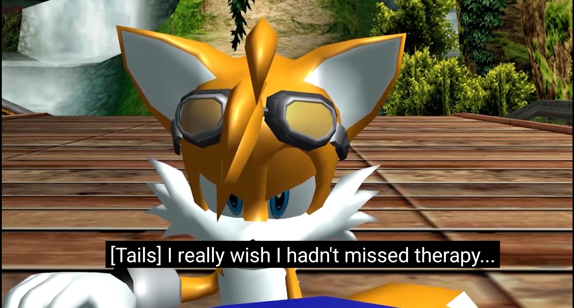 What did Tails see that made him wish he didn't miss his therapy