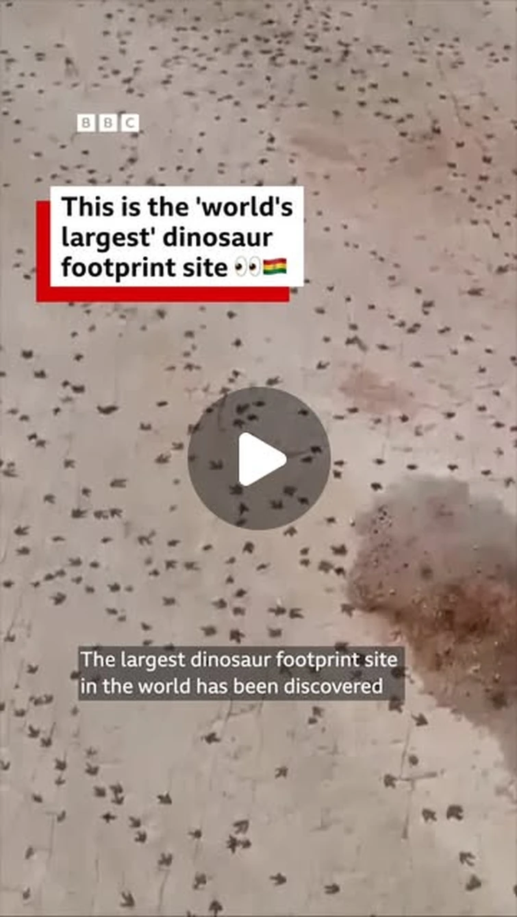 BBC World Service on Instagram: "This is a lot of dinosaur footprints! 👀🦖⁣ ⁣ There's around 16,000 in total and they've been discovered in Bolivia following a six-year study in Torotoro National Park, making it the “world’s largest” dinosaur footprint...