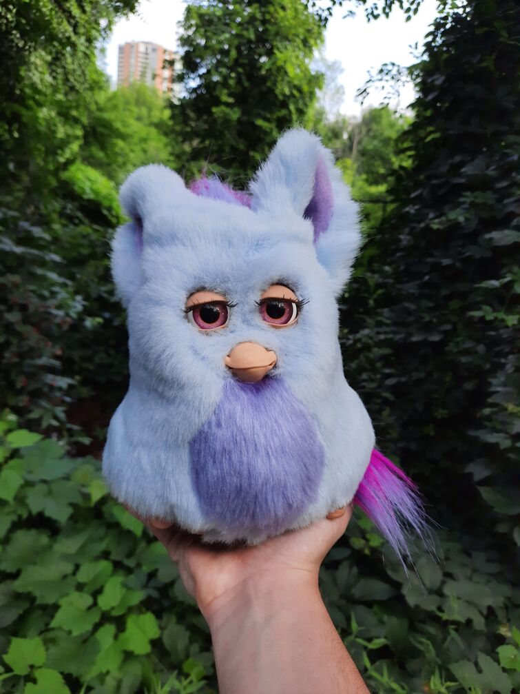 Fandom Image