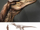 DalekRaptor