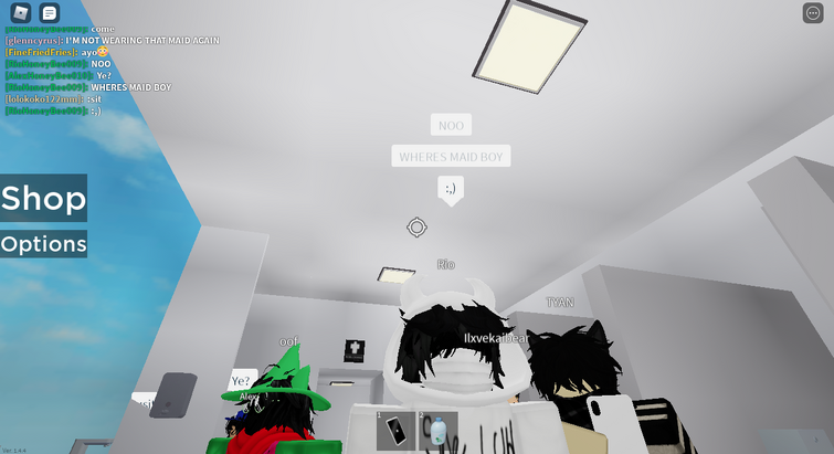 maid roblox noob