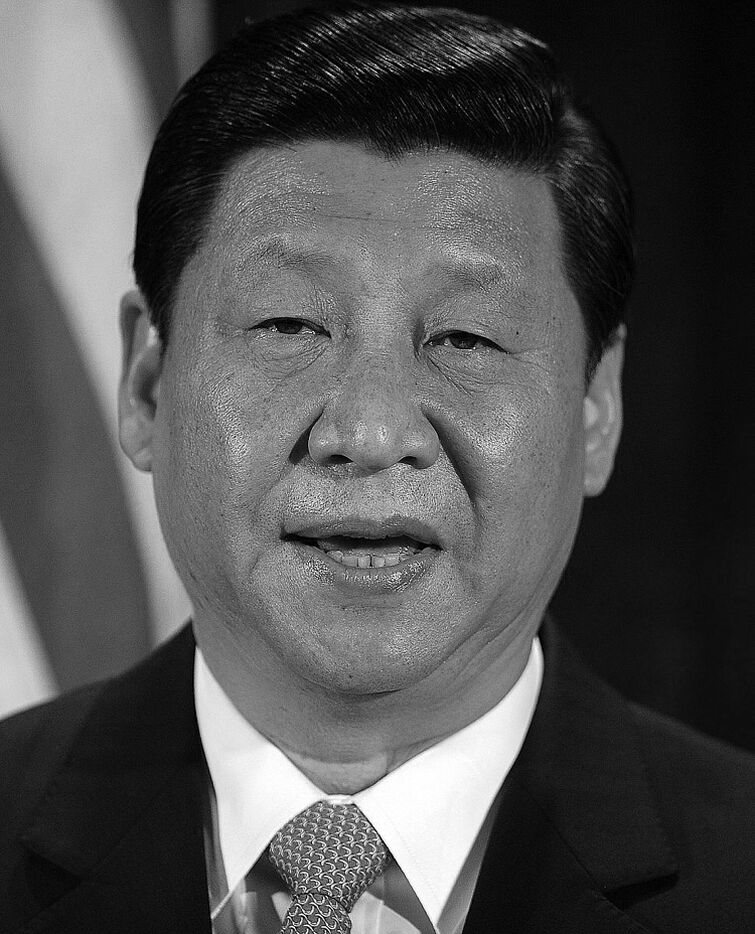 Цин пин. Си Цзиньпин. XI Jinping. Син Дзин Пинь. Си дзинь Пинь Лидер.