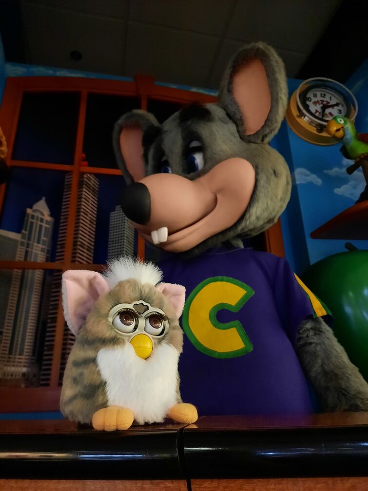 Fandom Image