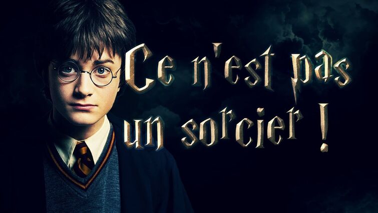 OUBLIEZ TOUT ce que vous pensez savoir sur HARRY POTTER • Part 1/4
