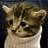 Kittykat111201's avatar