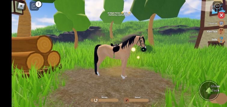 I'm just showing off some of my horses | Fandom