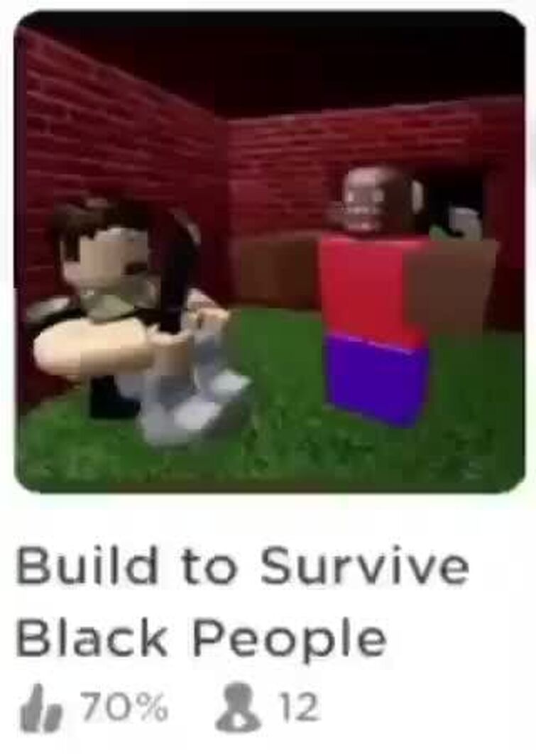 Roblox Racist Game