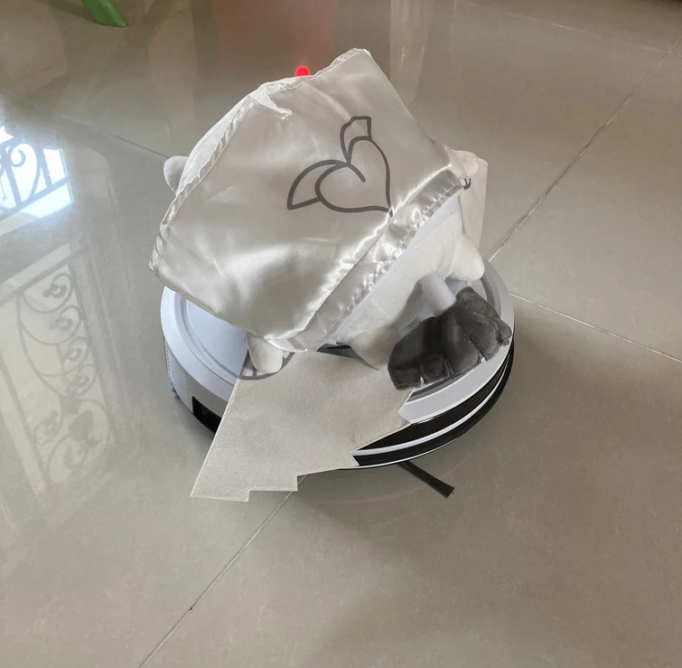 ummm… momotaro on a made in china zamboney with its battery died… Fandom