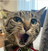 UpsideFloorGD's avatar