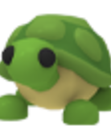 Turtle Vs Kangaroo Comment To Make A Big Discussion Fandom - roblox adopt me turtle pet