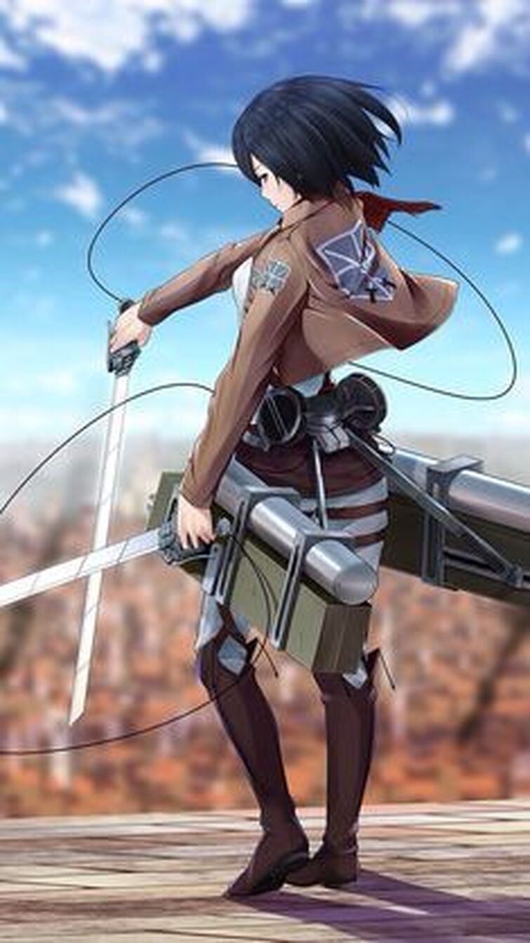 Joyeux Anniversaire A Mikasa Fandom