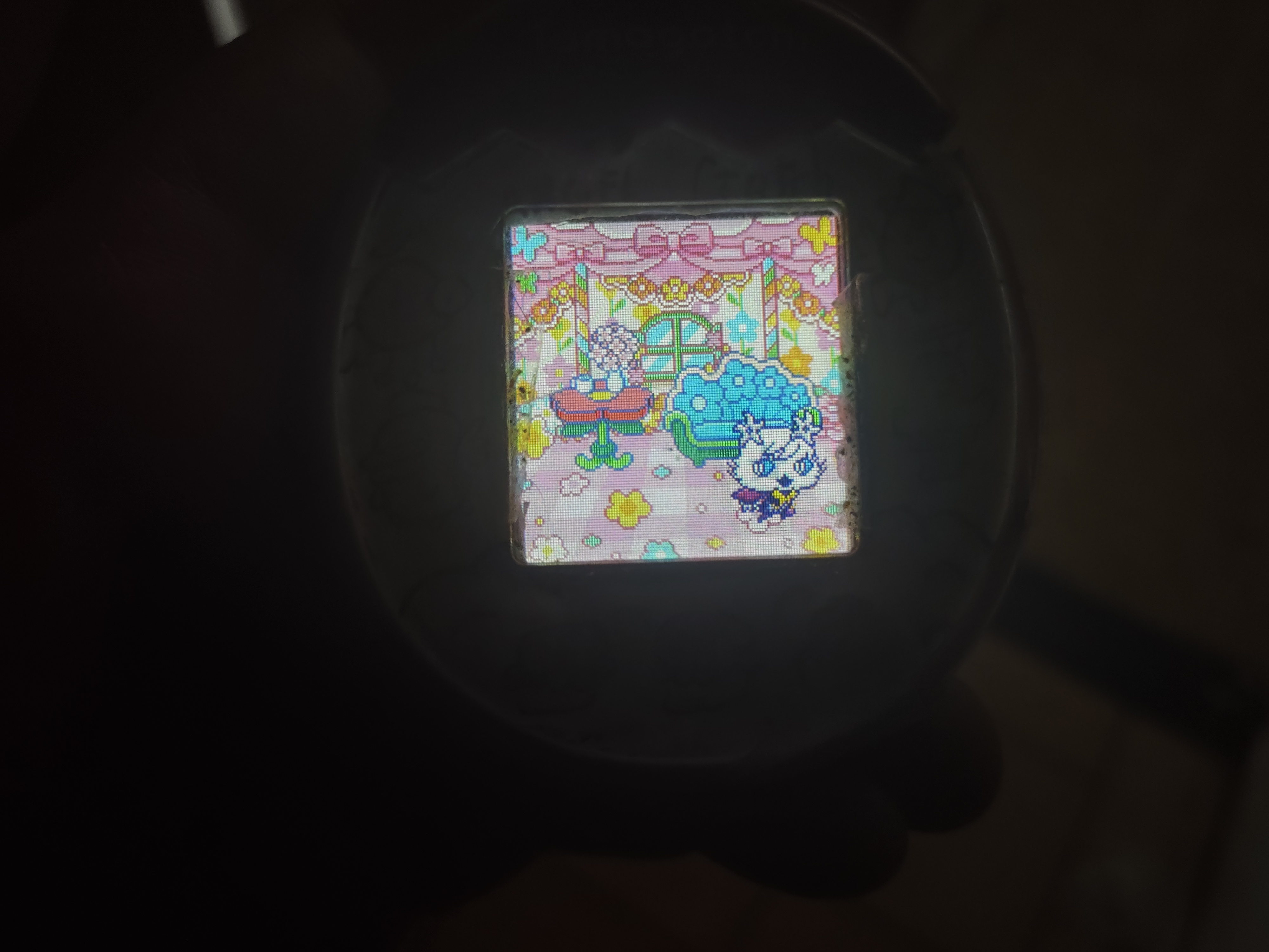 I accidentally restarted my tamagotchi pix the other day, and I'm
