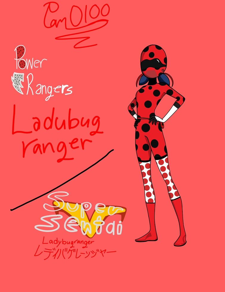 Miraculous Ladybug & Chanoir Character Book Japanese version