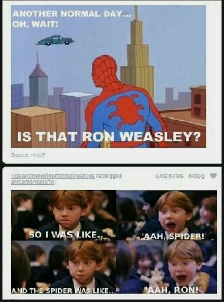 A Marvel X Potter fandom meme? Wow : r/harrypotter