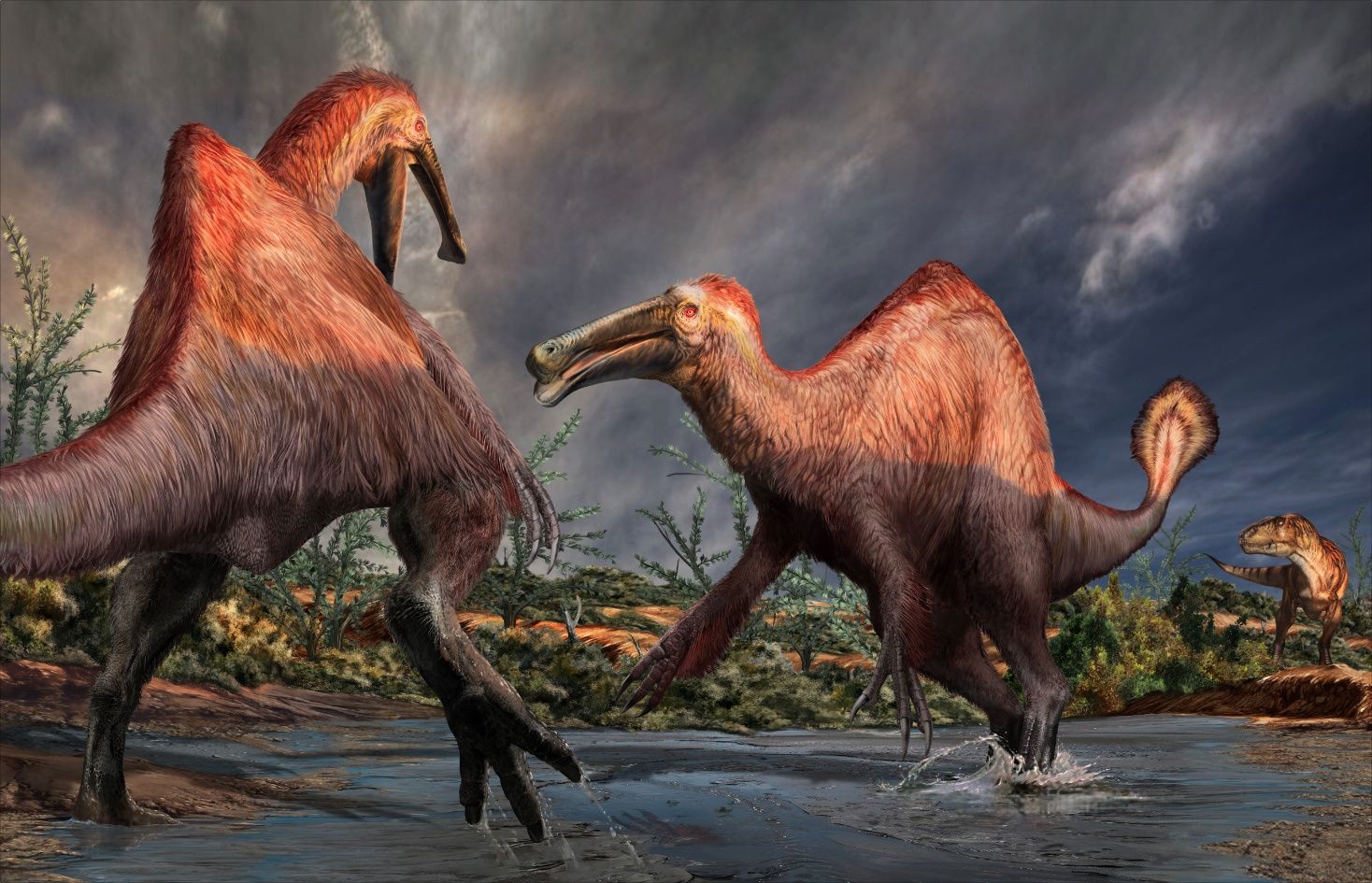 Paleoexhibit: Deinocheirus the magnificent