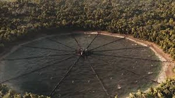 Cecelia Hungerspiele