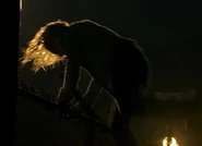 In Day 1: 11:00pm-12:00am, she climbed over a chain link fence at the Port, before running in front of a truck.