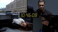 7x03ss03.jpg