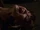 2x14f.jpg