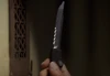 4x06 Microtech HALO