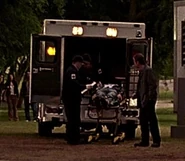 3x20 Lennox body.jpg (34 KB) As Lennox (double)