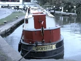 Sophie