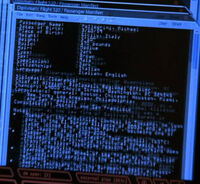 Michael Pellegrini's passenger record