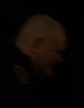 8x03 Mazoni double