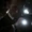 Cordilla virus attacks