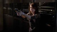 8x13 Chloe Gun