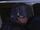 1x20 chopper guard.jpg