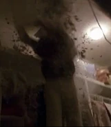 In Day 2: 5:00am-6:00am, she fell through the attic floor at 12 Blue Tree Drive.