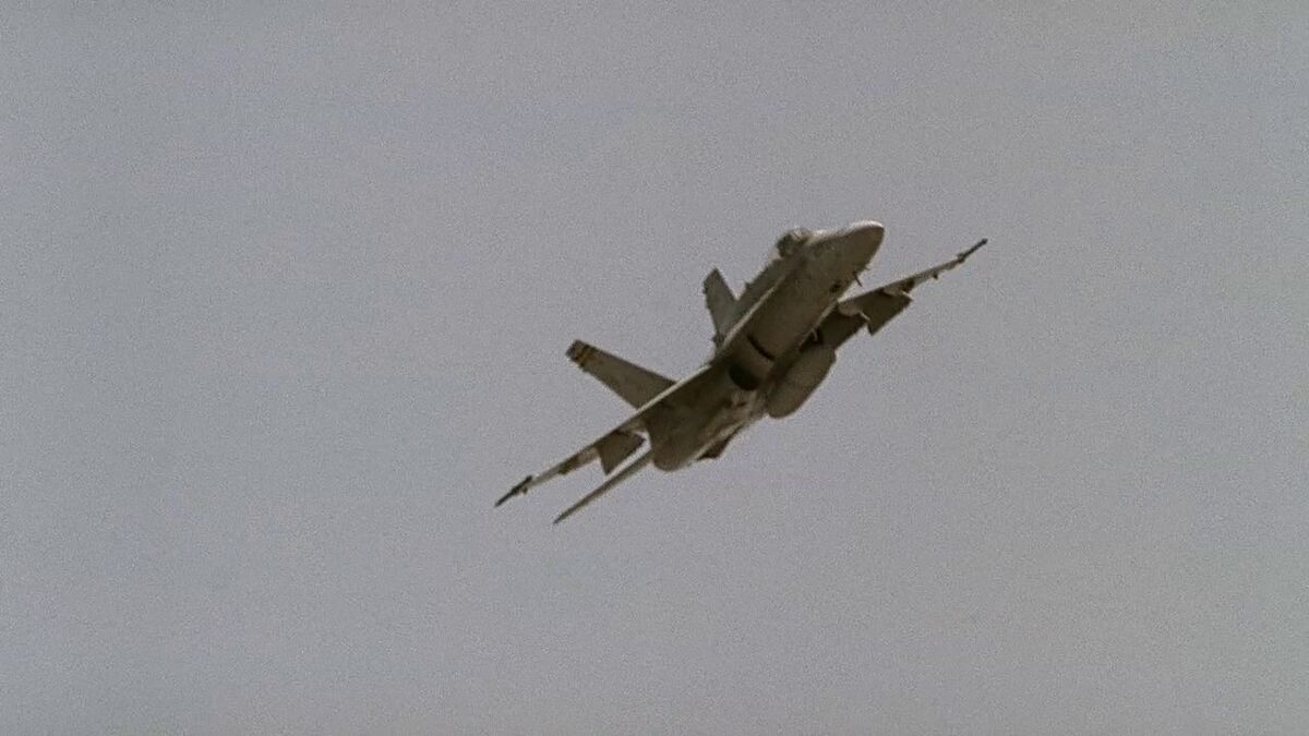 FLYING WARBIRDS　F/A-18 Hornet Flying Warbirds F/A-18 Hornet | eBay