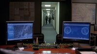 8x13 NSA