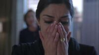 Dalia8x23