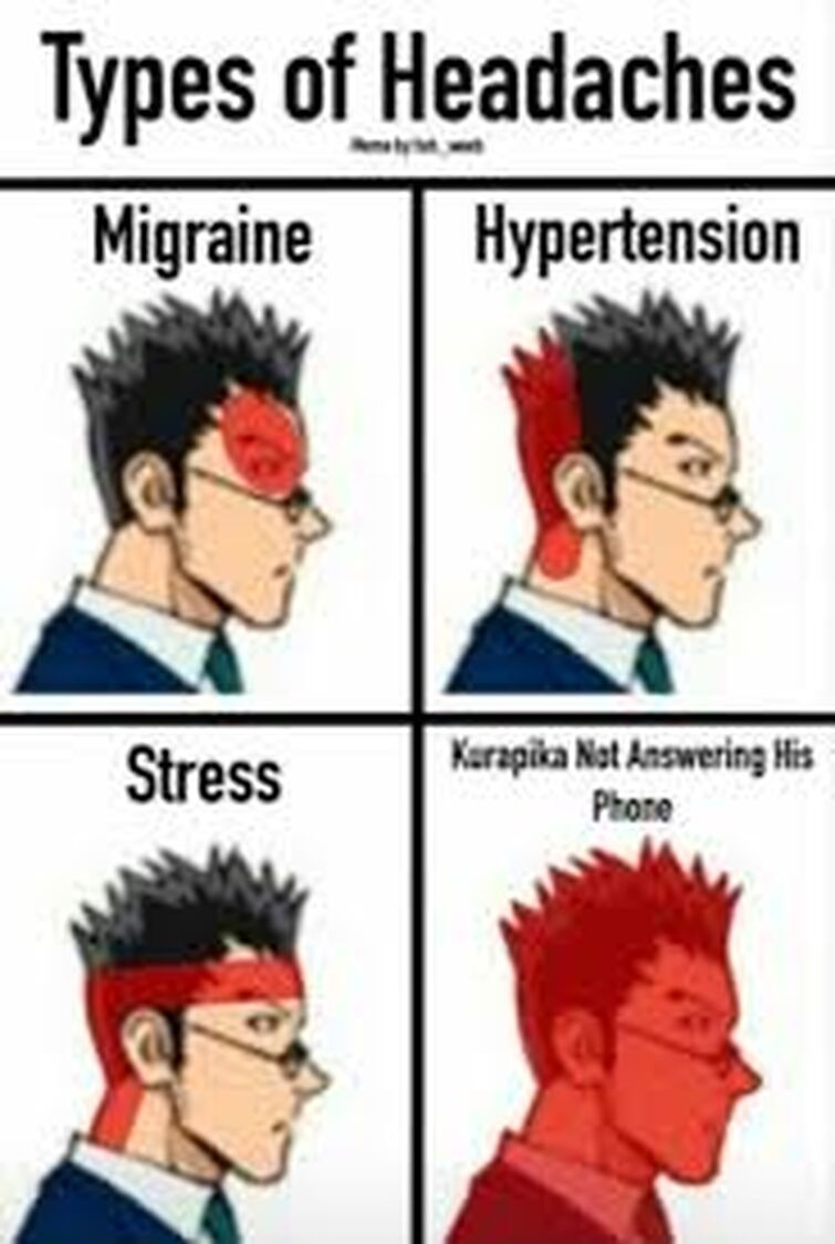 Hunter X Memes, Hunter X Hunter