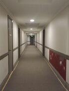 Harmony renovating corridor