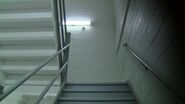 40west-stairwells