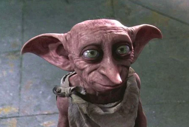 The Harry Potter Reboot Can Restore The Great Dobby Story The Original  Movies Cut